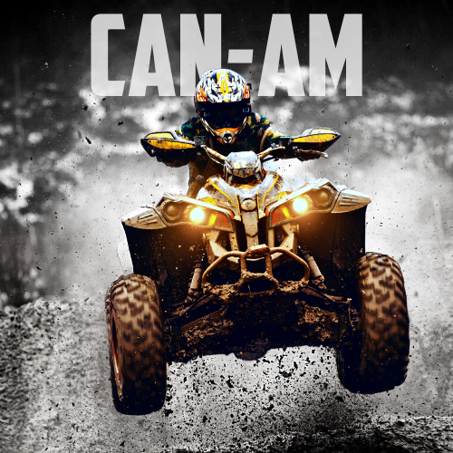 can-am clutch