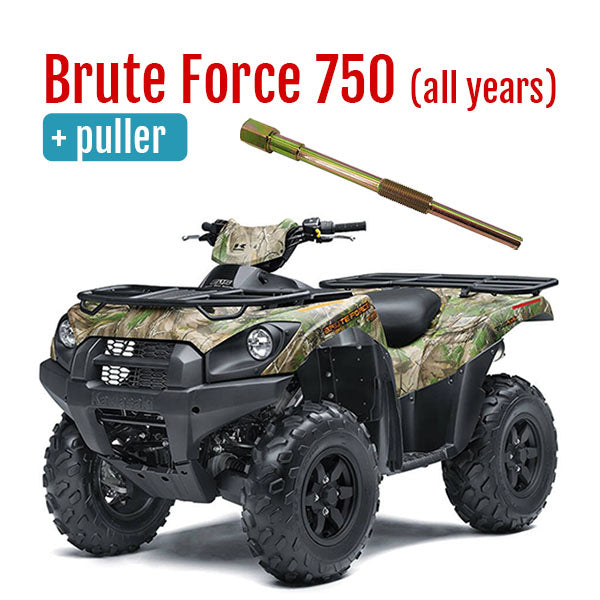 Brute Force 750 Primary Clutch & HD Puller